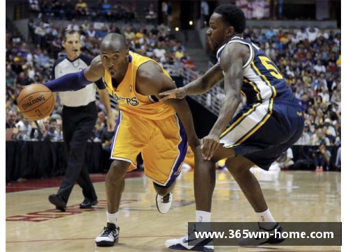 NBA球员签名鞋系列：潮流时尚与篮球精神的完美融合
