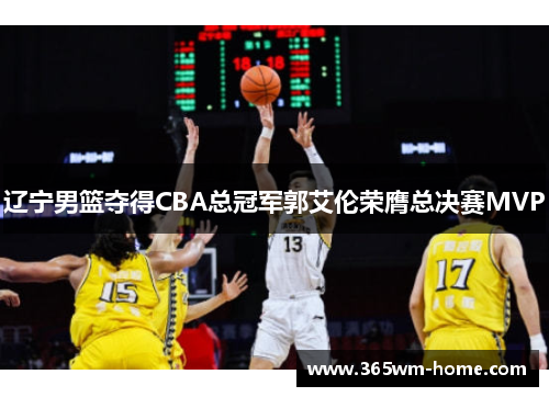 辽宁男篮夺得CBA总冠军郭艾伦荣膺总决赛MVP