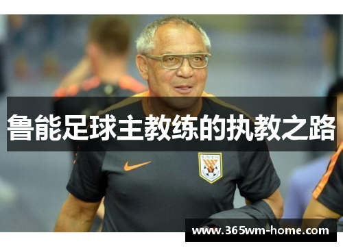 鲁能足球主教练的执教之路